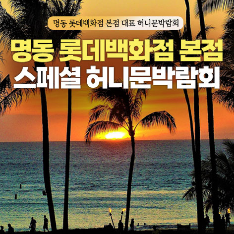 명동 롯데백화점 본점 인기 레브허니문박람회