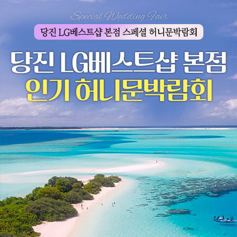 당진 LG베스트샵 본점 인기 레브허니문박람회