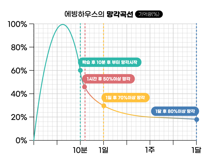 에빙하우스의 망각곡선 기억량 차트