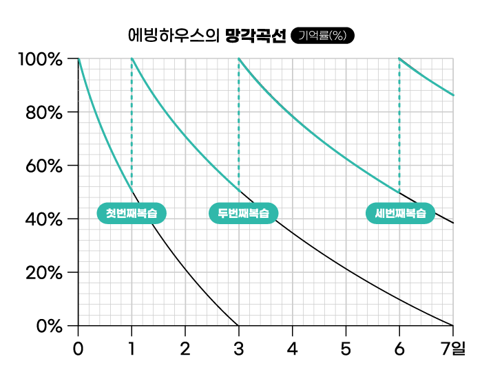 에빙하우스의 망각곡선 기억률 차트