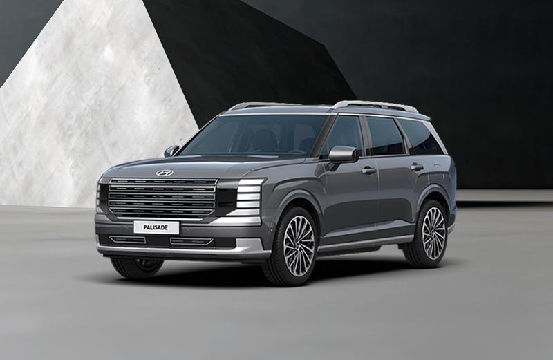 현대 디 올 뉴 팰리세이드